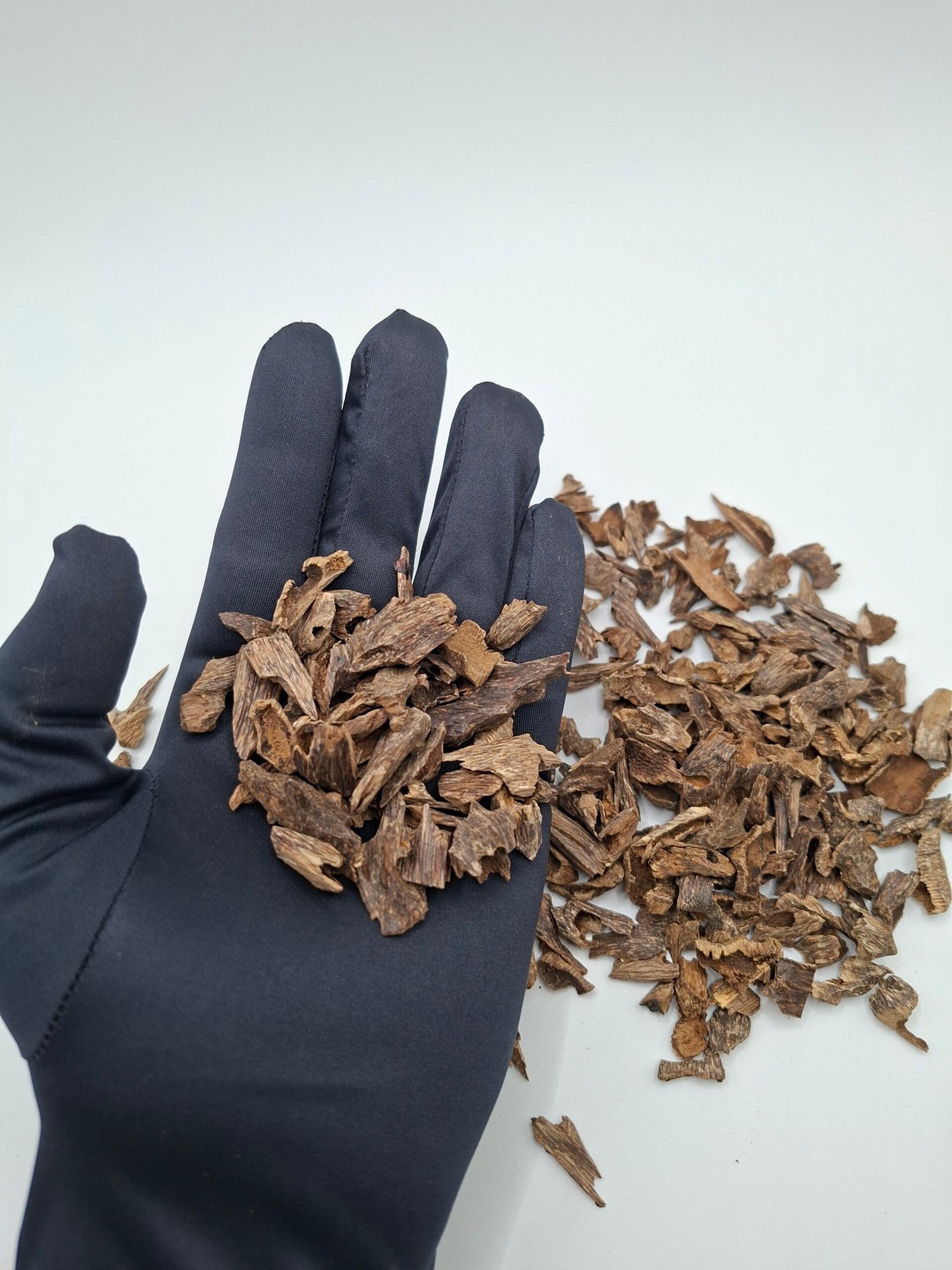 مانيبوري موري - الصورة 3