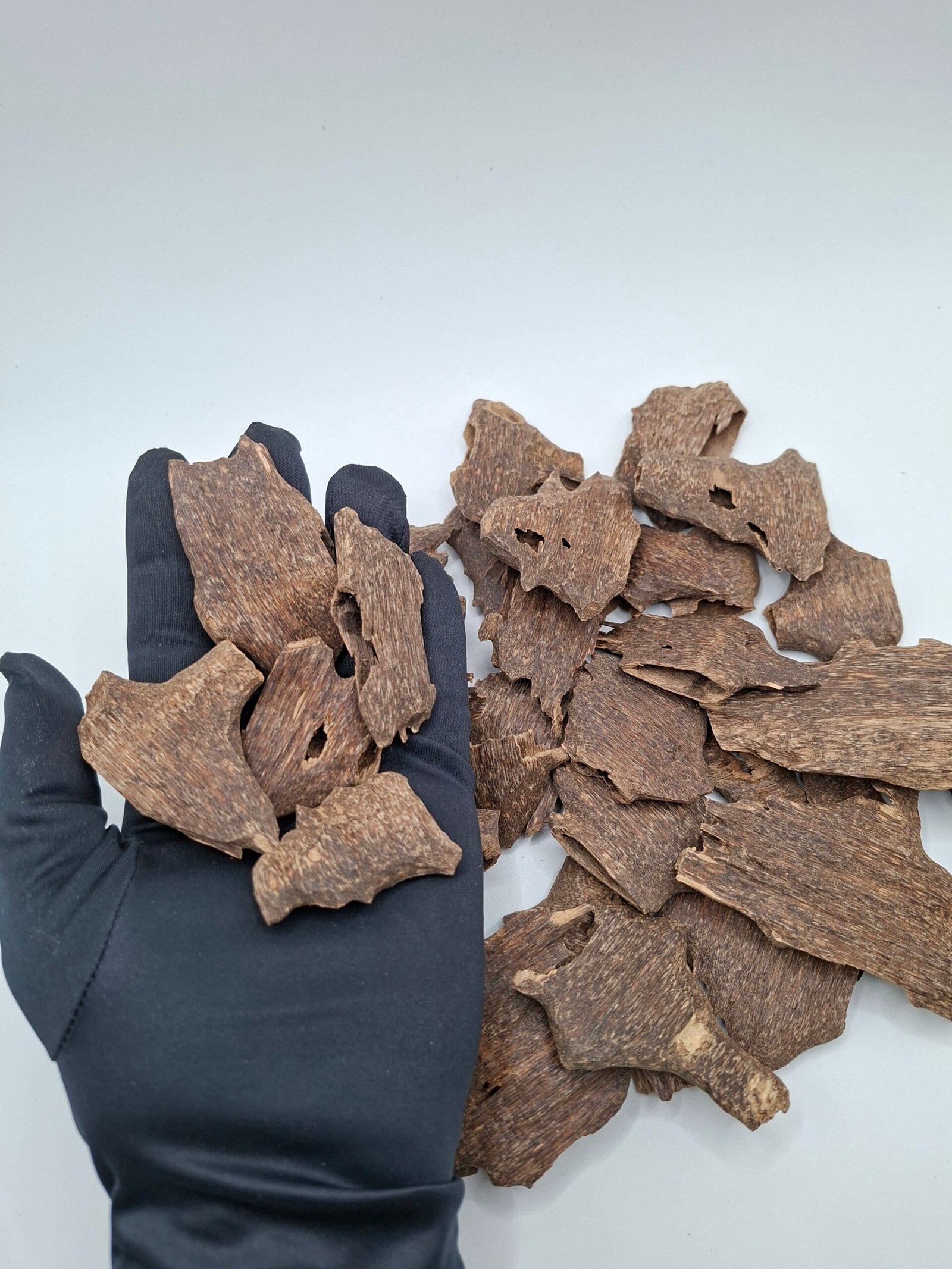 عود القواقع الهندي VVIP Double Face - الصورة 2