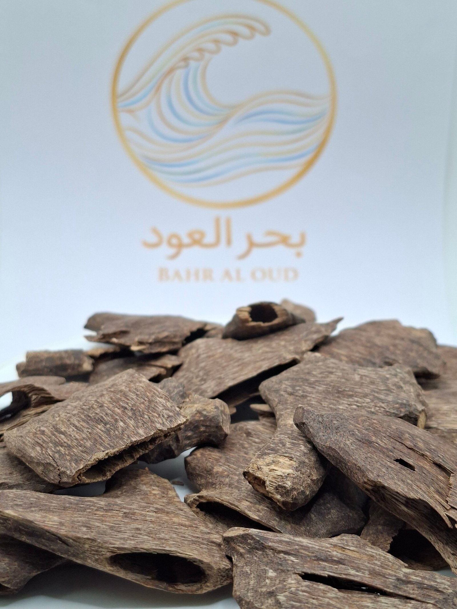 عود القواقع الهندي VVIP Double Face